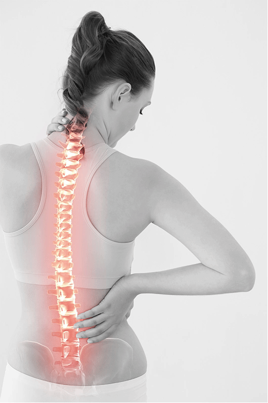 CERAGEM MASTER V4 gerinc szakaszai