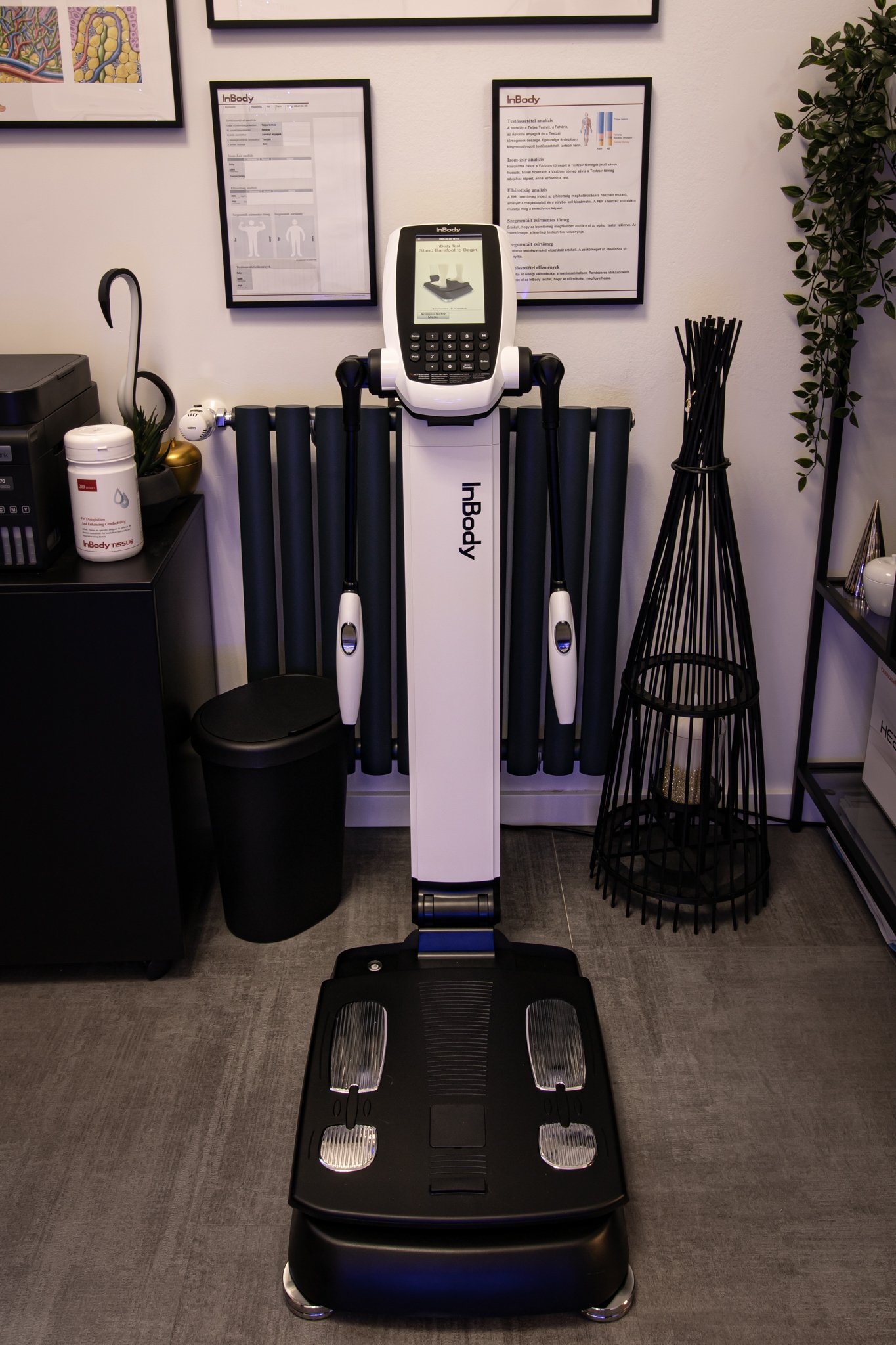 InBody testösszetétel-mérés