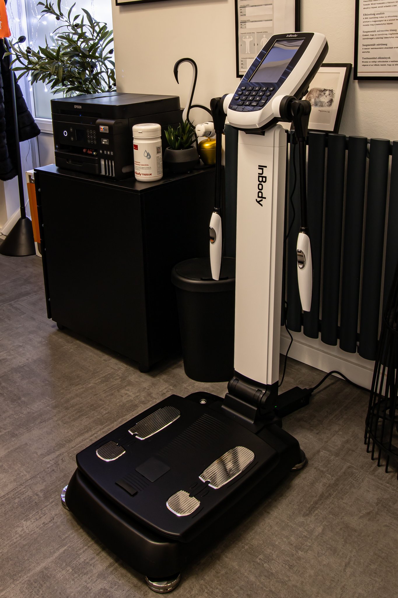 InBody testösszetétel-mérés